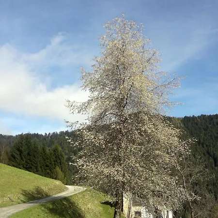 Serenella