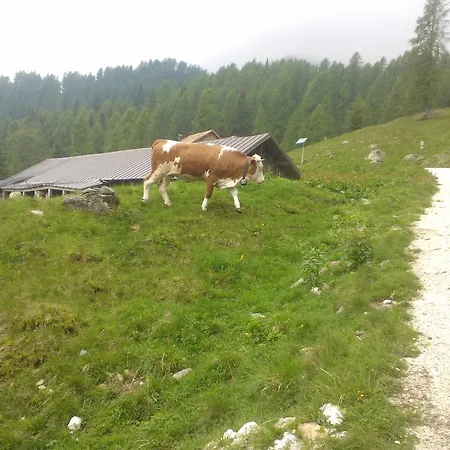 Serenella